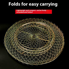 d24aebce61331a7c3eaf0425692ebd51